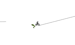 wrong way