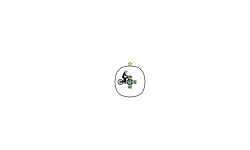 SPIN