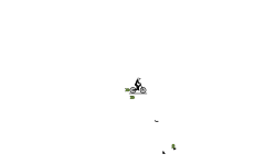 10 second auto