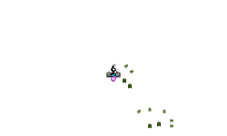 Boing Auto