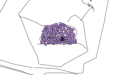 find the star