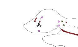 15s Blob Rumn pt5