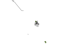 speed run auto