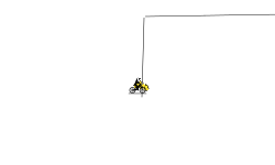 Don't click anything