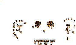 ZOOM OUT