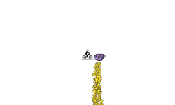 200 stars