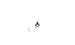 bmx grid auto