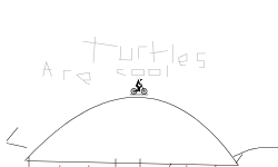 turtles are cool