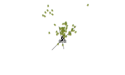 SHORT GLITCH