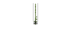 Gravity Auto