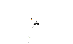 Helicopter auto