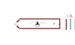 Balloon Glitch