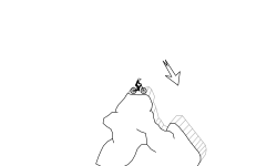 My first level