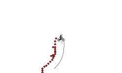 Bomb auto wheelie  (WIP)