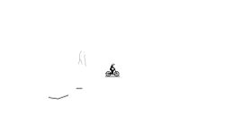 My first brush