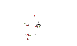 Bomb Dash