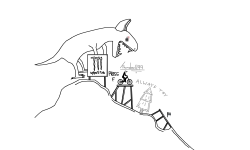 downhill 4