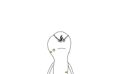 THE ALIEN