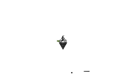 auto (desc)
