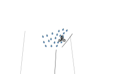 cows