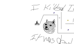 Doge