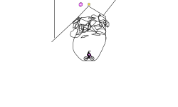 Head = Hair