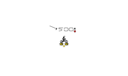 500 Stars!