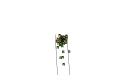 ??????????????????????