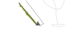 anti plane