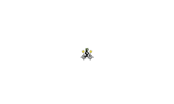 he short