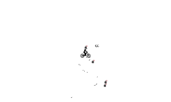 Auto Bombs