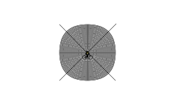 Optical illusion (read desc)