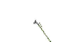 Levitate Auto