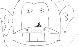 monkey