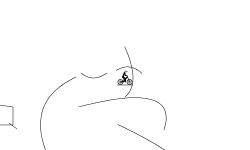 RANDOM LINES
