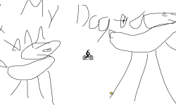 Pets
