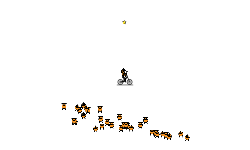 Free Roam