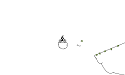 the circle
