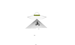 ALIEN ABDUCTION