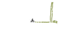 sudden death