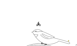 Chirpella!
