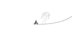 Palm Tree