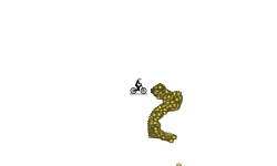 1000 Stars