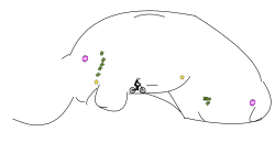 random crapost