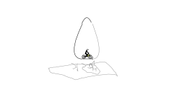 bonsly