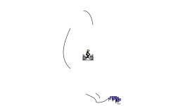 you lose