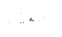 Auto+Watermelon Jumps