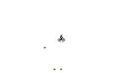 Small Auto