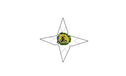 Spin the Star