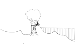 Pump Track Compound